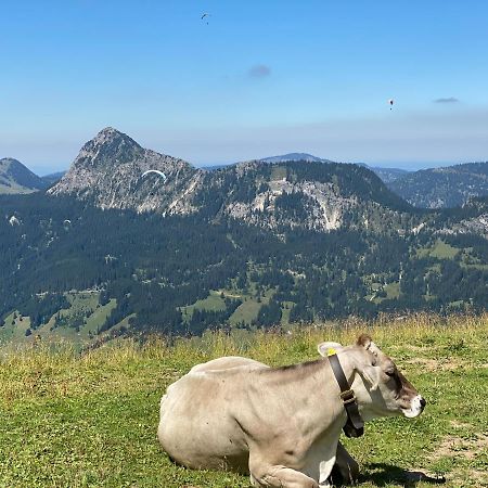 Mountain Moments Tannheim - Familie Weber Apartment Bagian luar foto