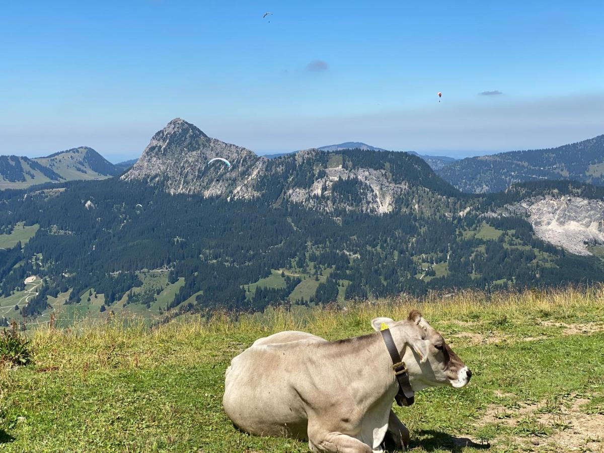 Mountain Moments Tannheim - Familie Weber Apartment Bagian luar foto